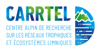 UMR CARRTEL