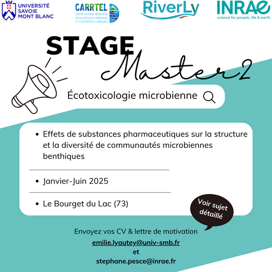 stage CARRTEL 2025